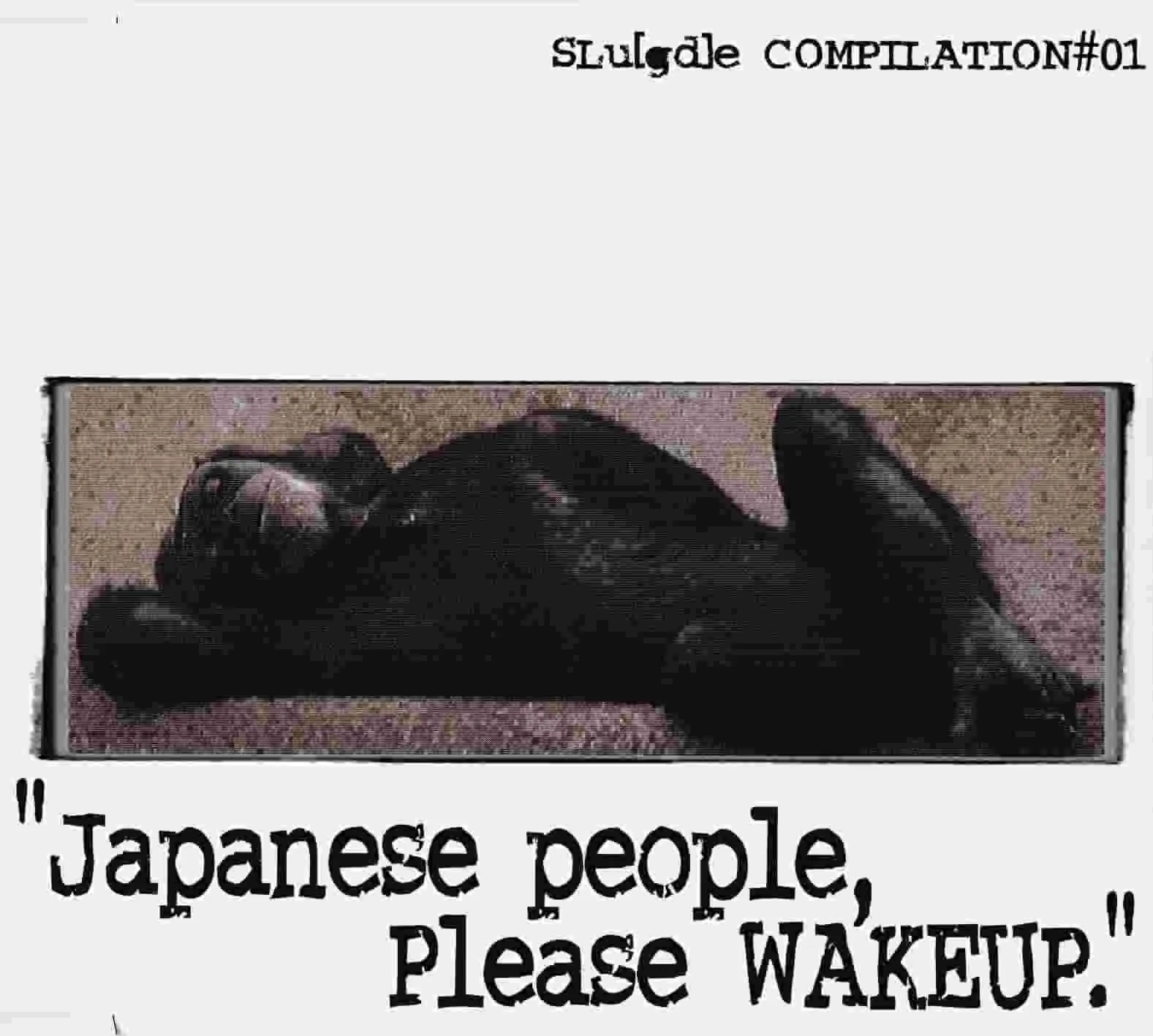 Japanese People, Please Wakeup cover
