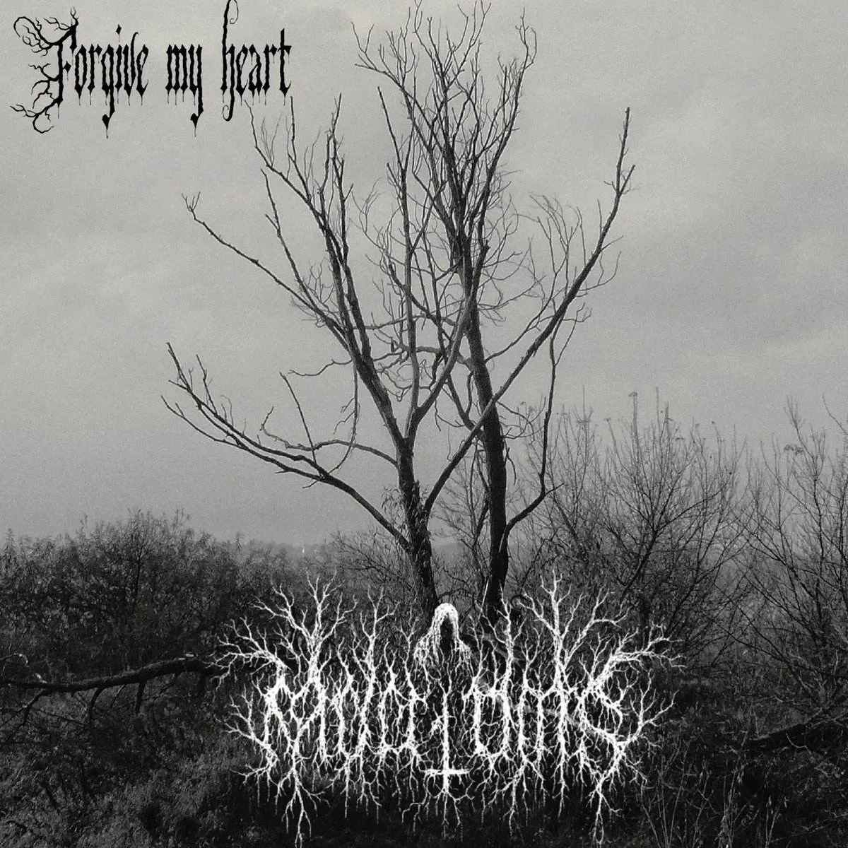 Forgive My Heart cover