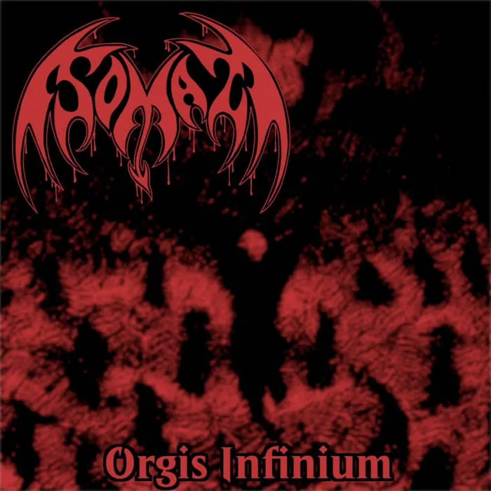 Orgis Infinium cover