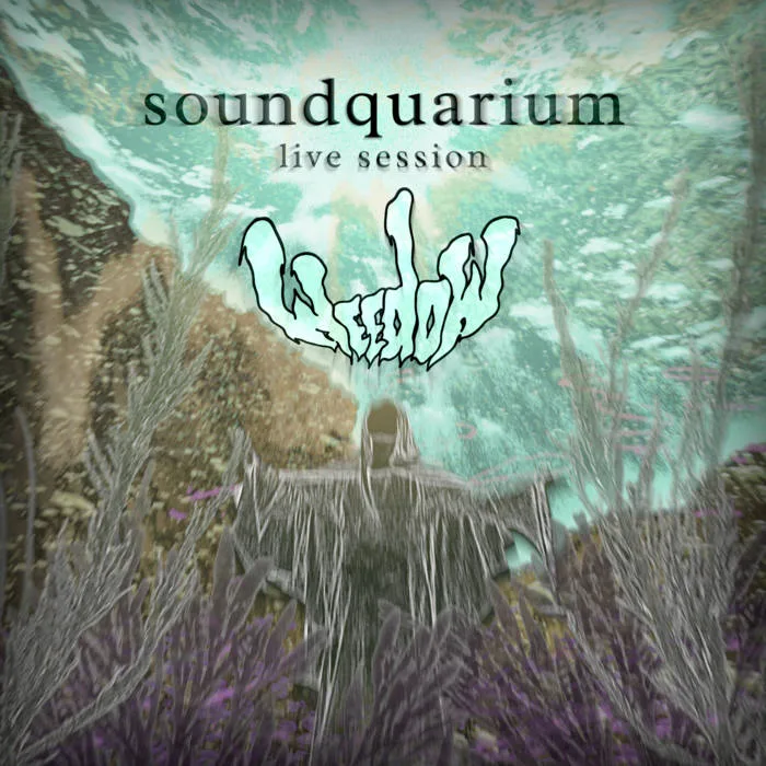 Soundquarium: Live Session cover