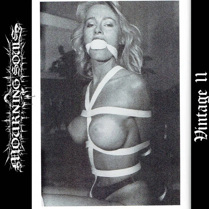 Vintage 11 cover