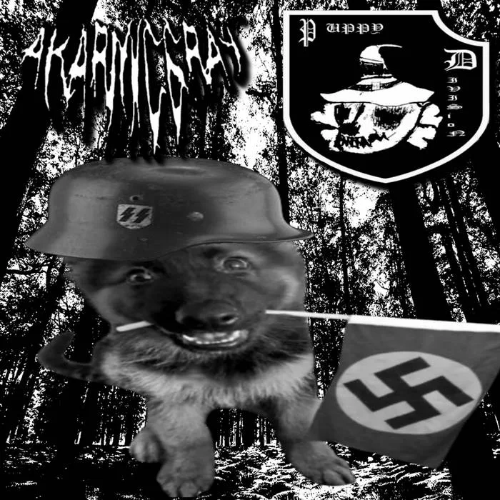 Puppy Division / A Karmic Gray Split cover