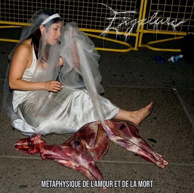Métaphysique de l'Amour et de la Mort cover