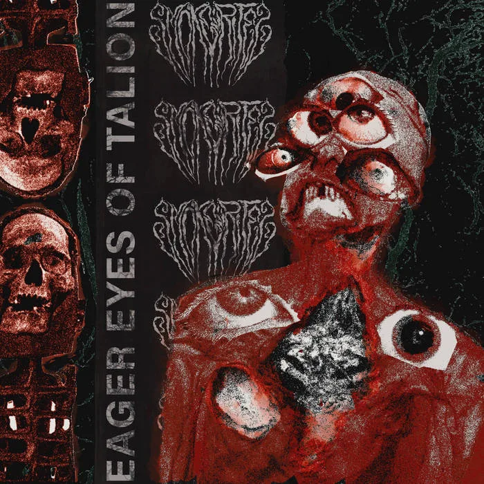 Eager Eyes of Talion cover