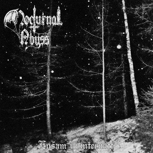 Ensam i vinternatt cover