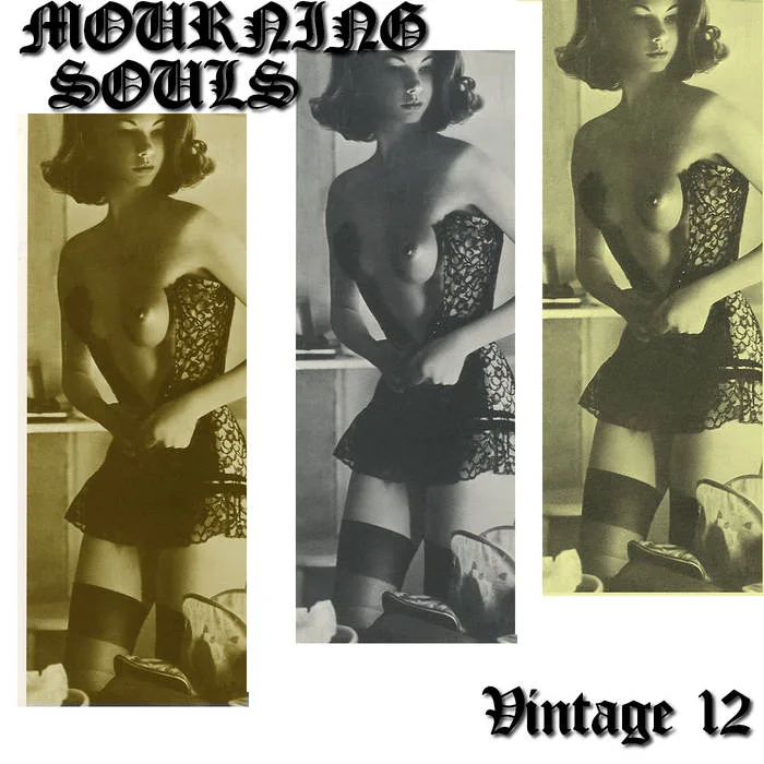 Vintage 12 cover