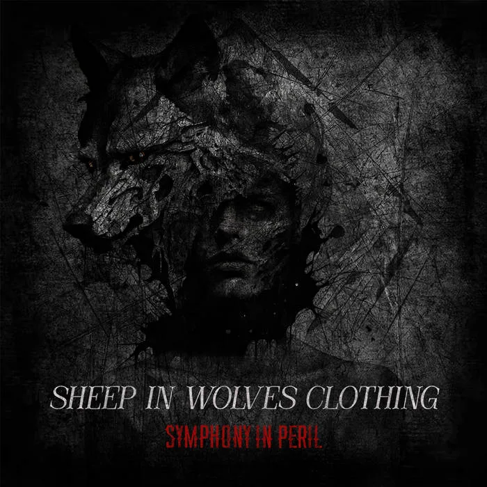 Sheep in Wolves Clothing cover