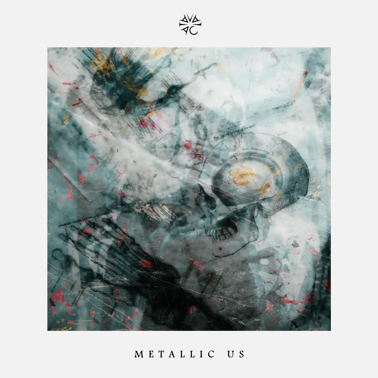 Metallic Us cover