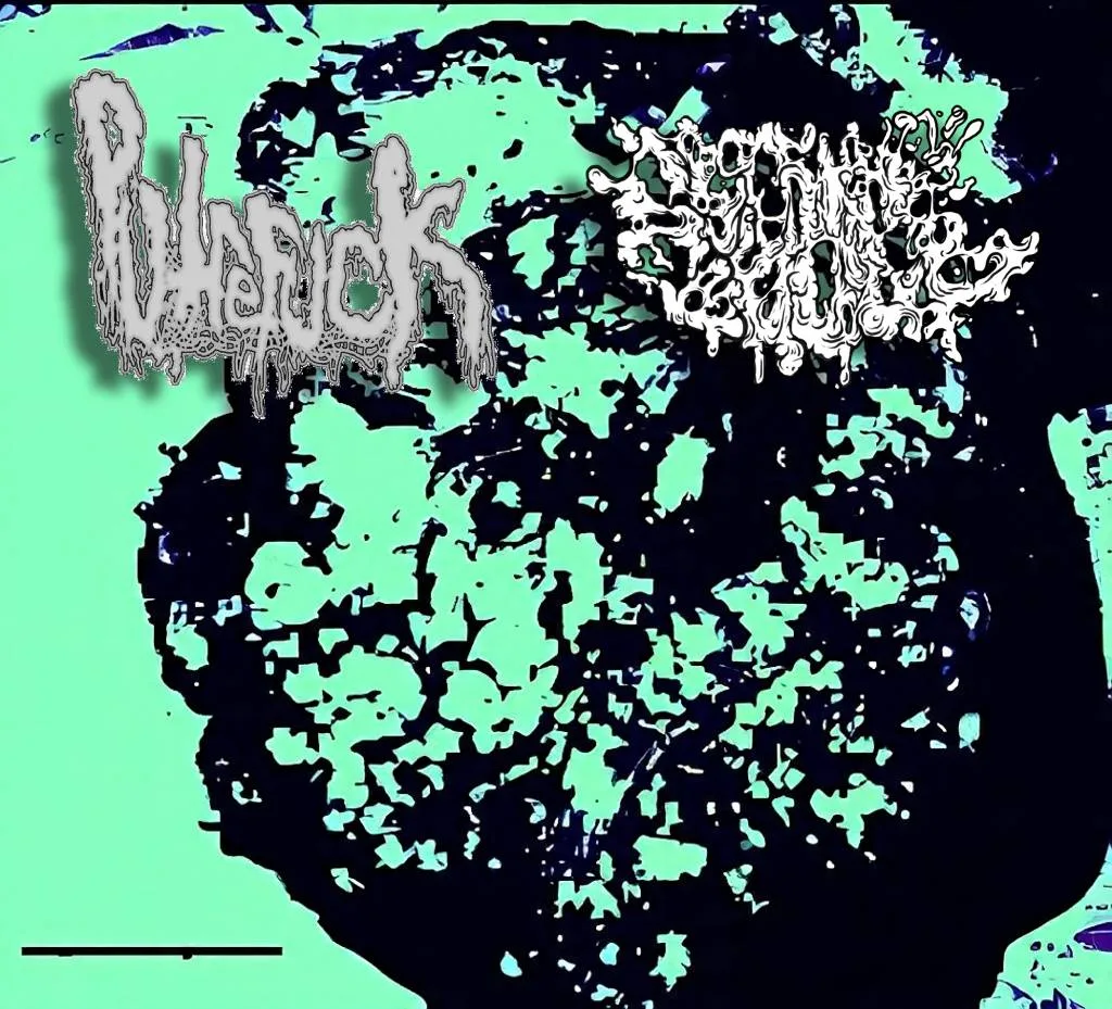 Putrefuck / Disgurgitate cover