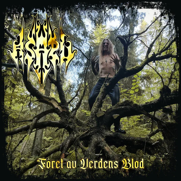 Liv - Fôret av Verdens Blod cover