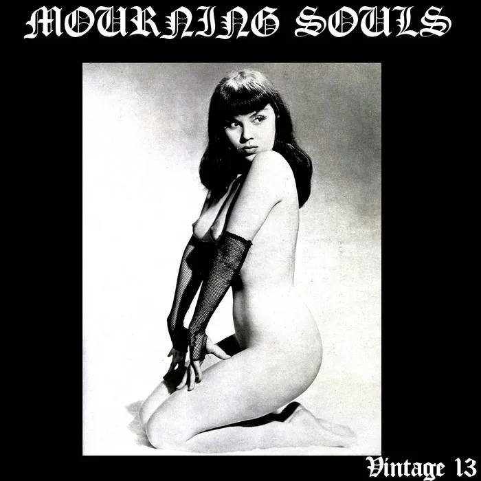 Vintage 13 cover