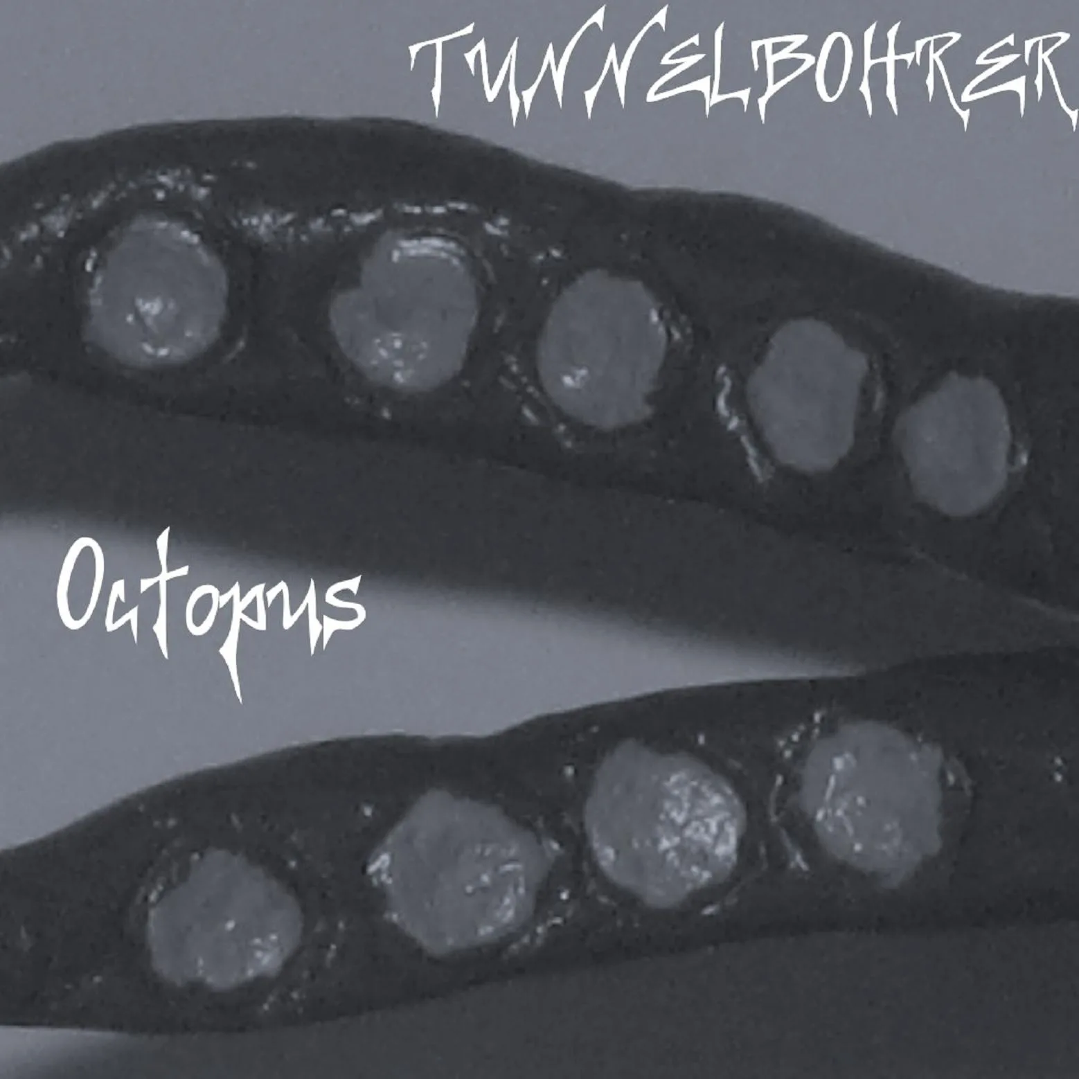 Octopus cover