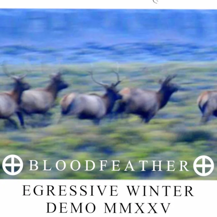 Egressive Winter cover