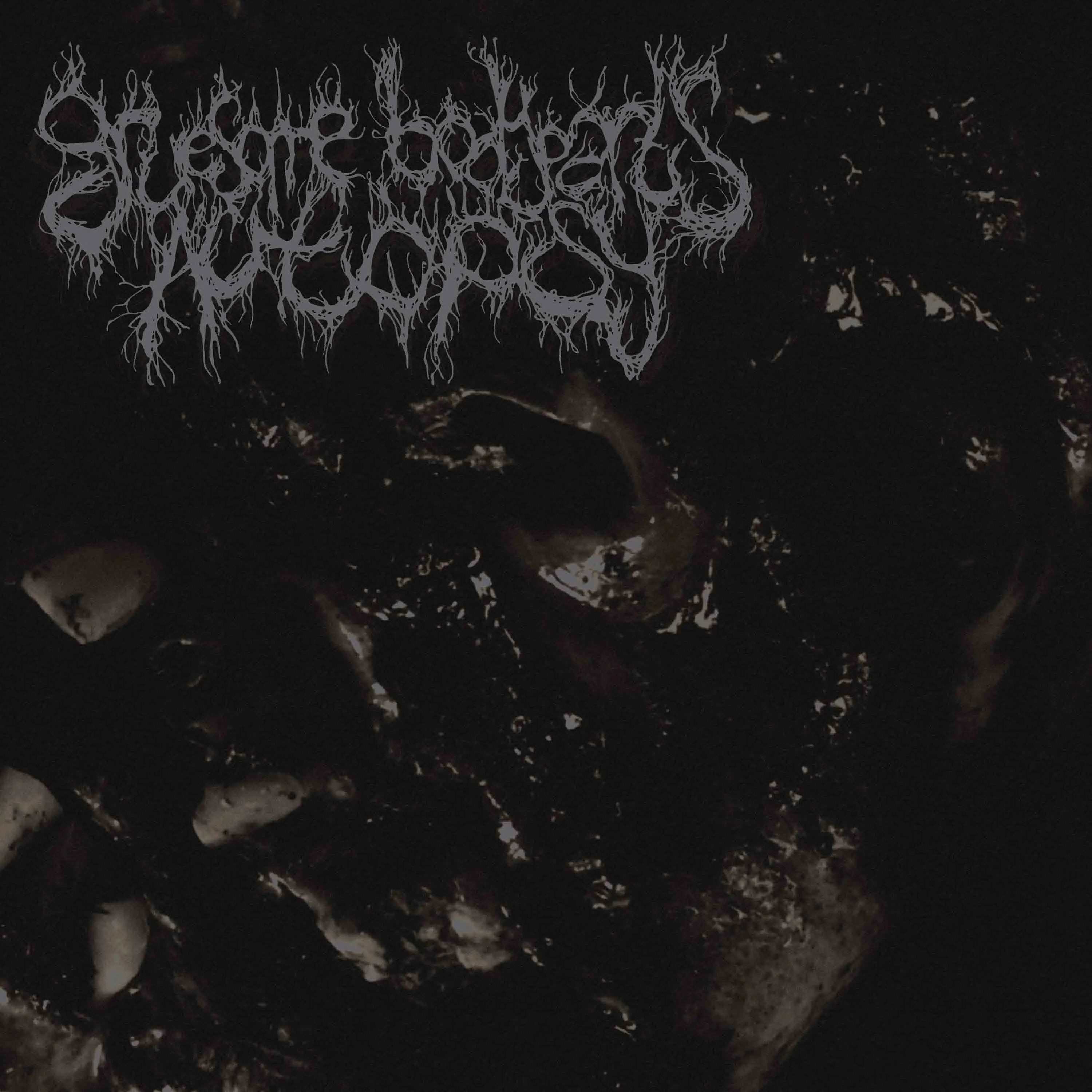 Extraction of Multiple Teeth from a Black Liquefied Corpse with Obvious Signs of Devouring cover