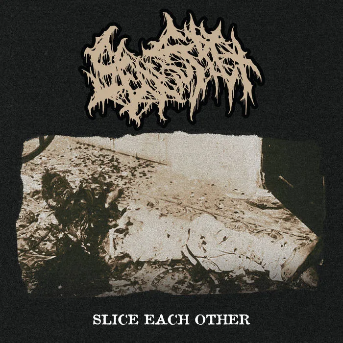 Slice Each Other cover