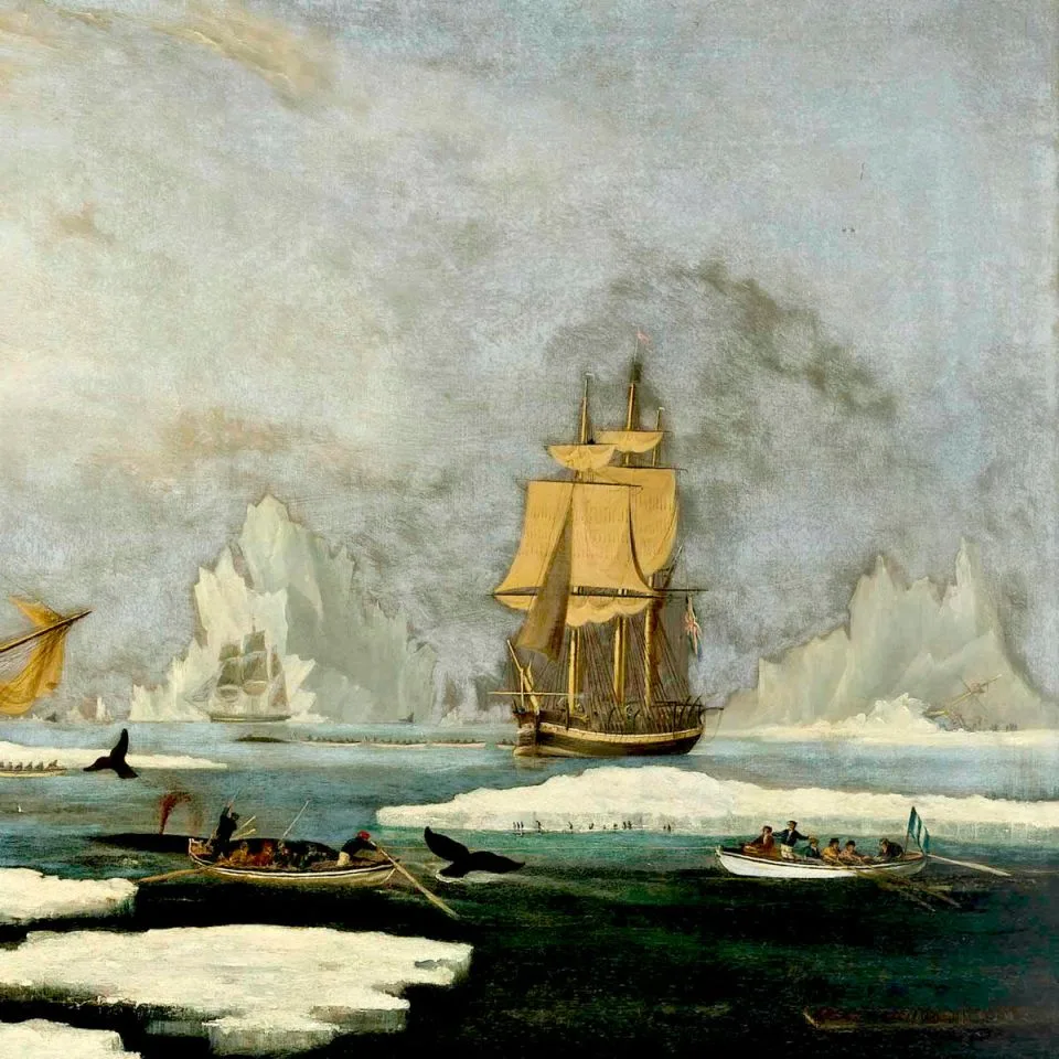 Black-Hulled Brig cover