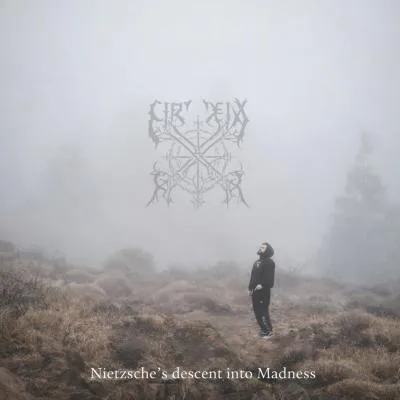 Nietzsche's Descent into Madness cover