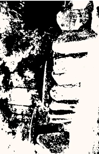 Primordial Celestial Cult cover