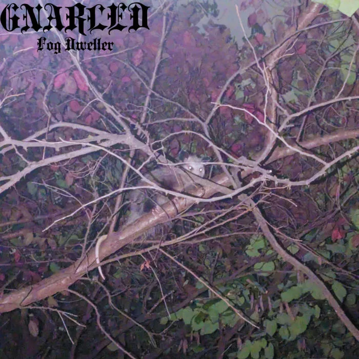 Fog Dweller cover