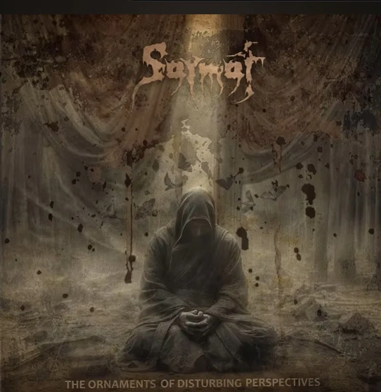 The Ornaments of Disturbing Perspectives cover