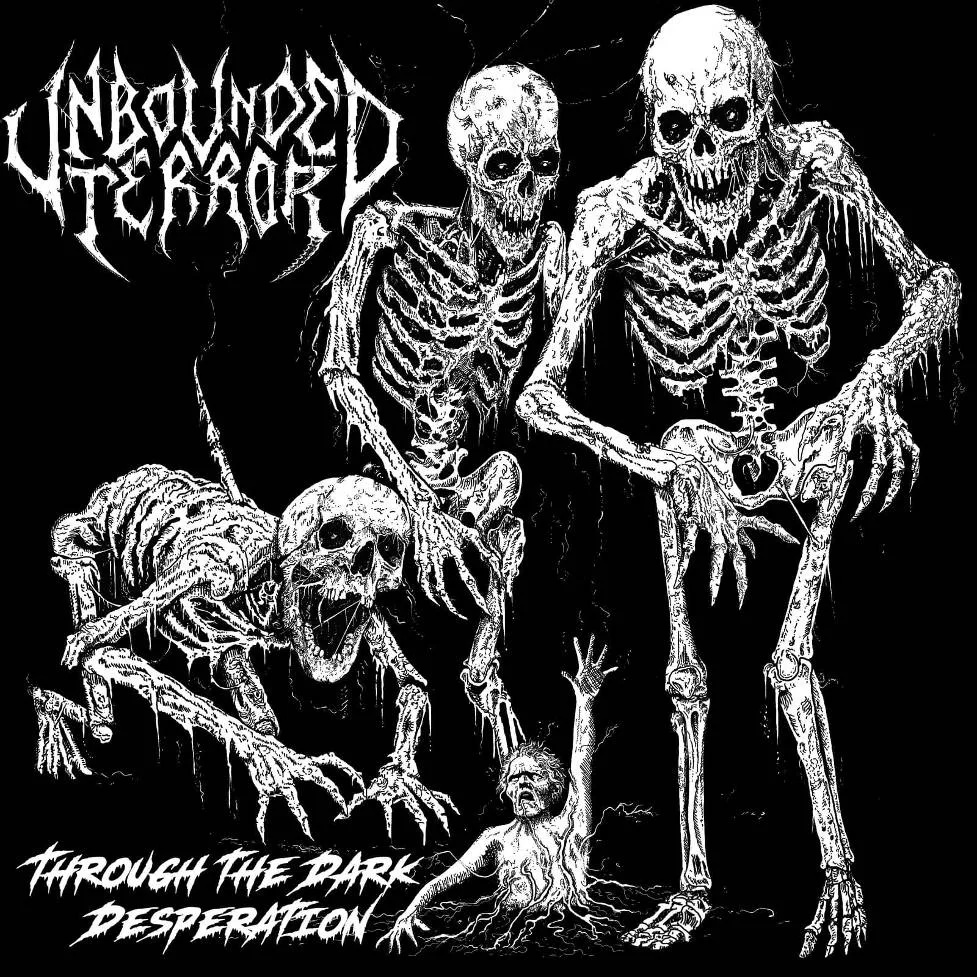 Through the Dark Desperation cover