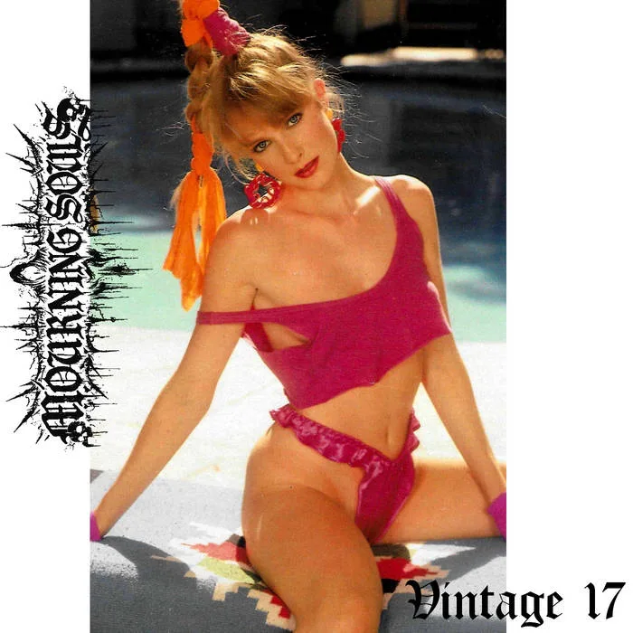 Vintage 17 cover