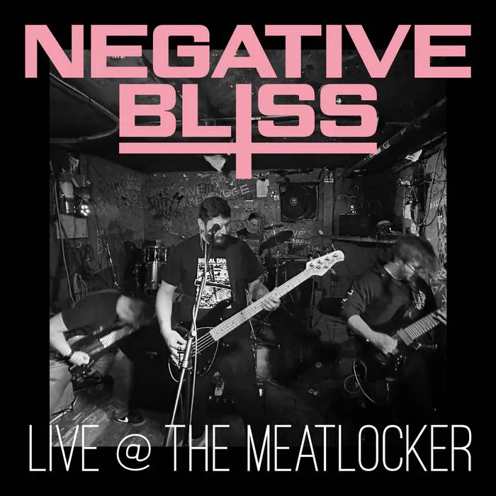 Live at the Meatlocker cover