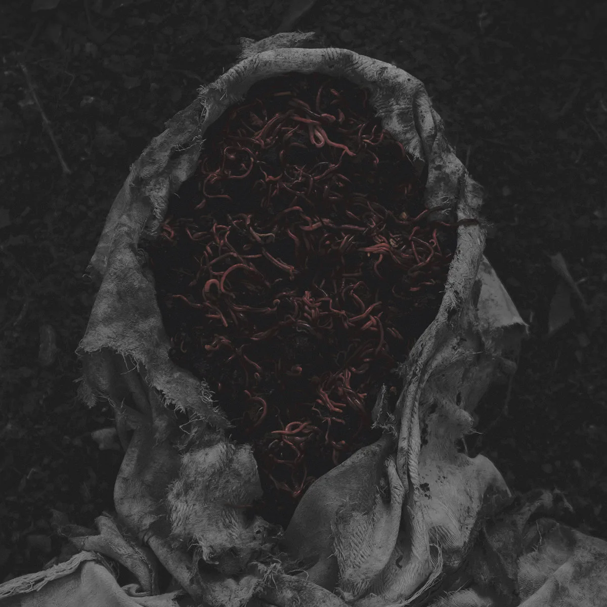 Stillamentum cover
