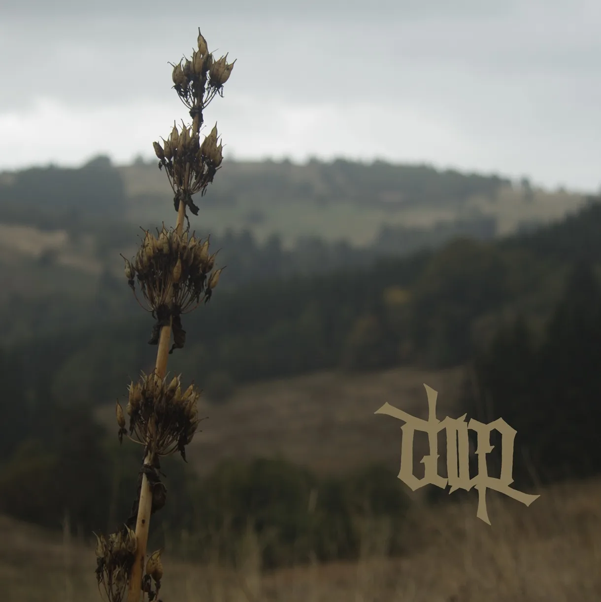Tumultes cover