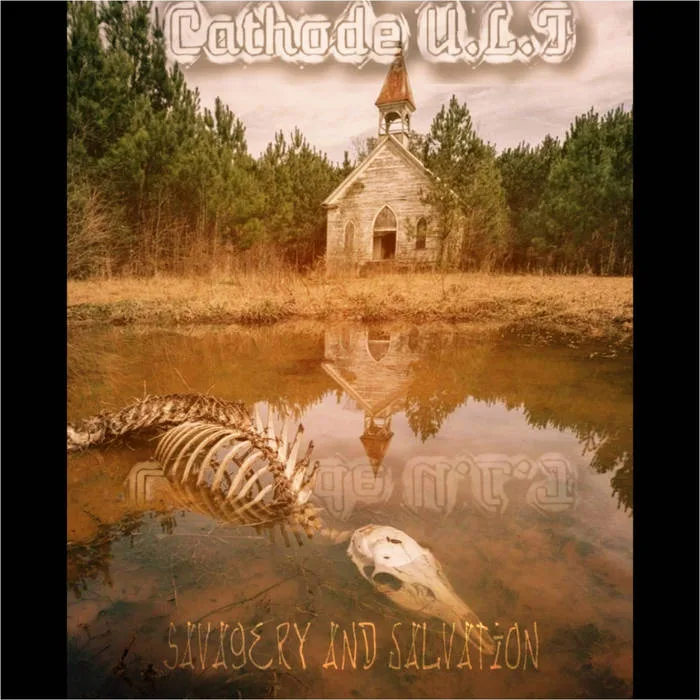 Savagery and Salvation cover