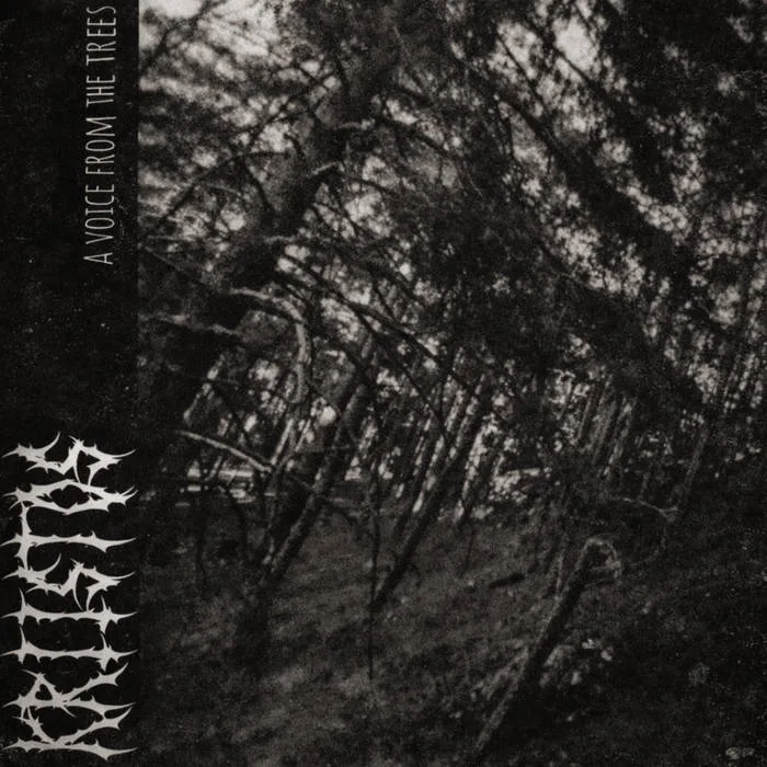 A Voice From the Trees cover