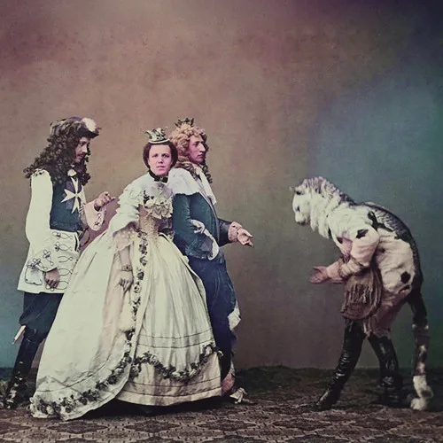 In the Name of the Moth cover