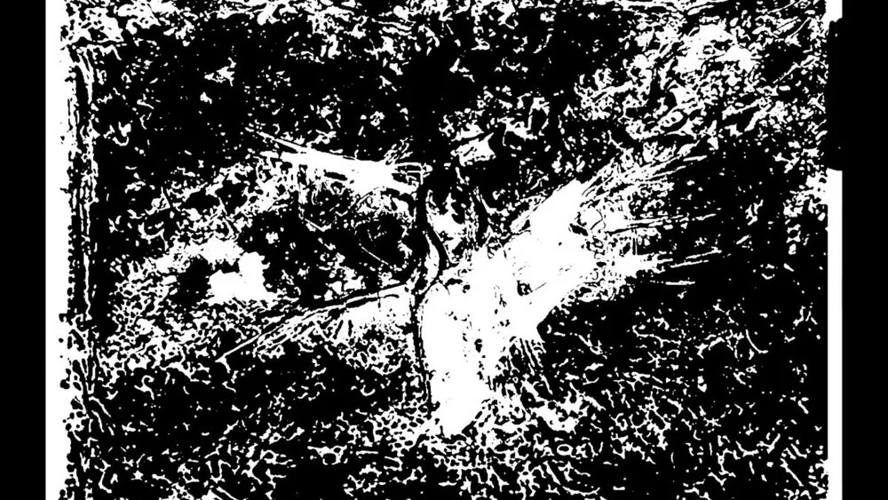 All Them Broken Sticks / Life on Fire cover