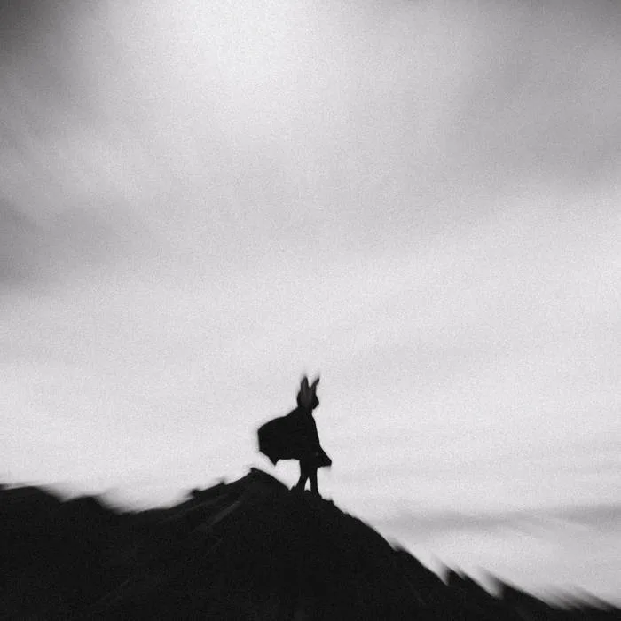 The Weight of Life cover