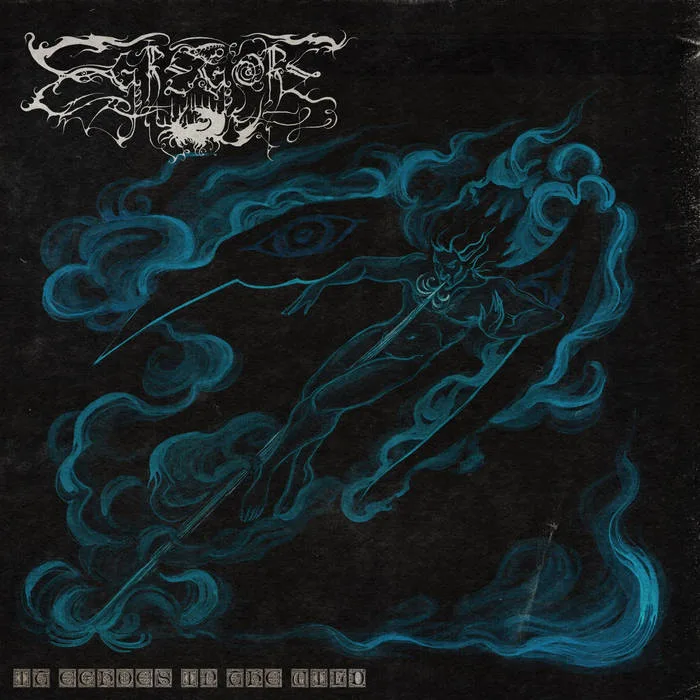 It Echoes in the Wild cover