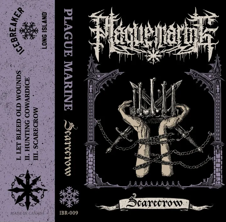 Scarecrow cover