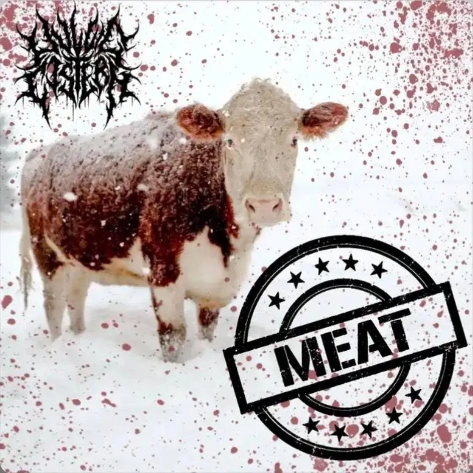 Meat cover