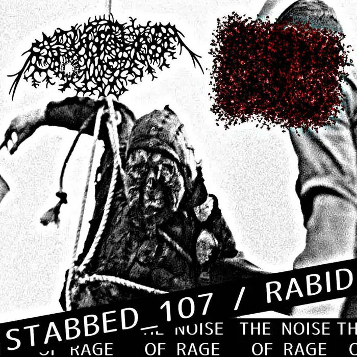 The Noise of Rage cover