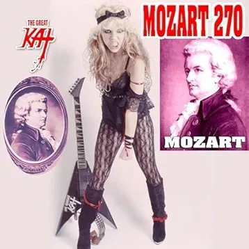 Mozart 270 cover