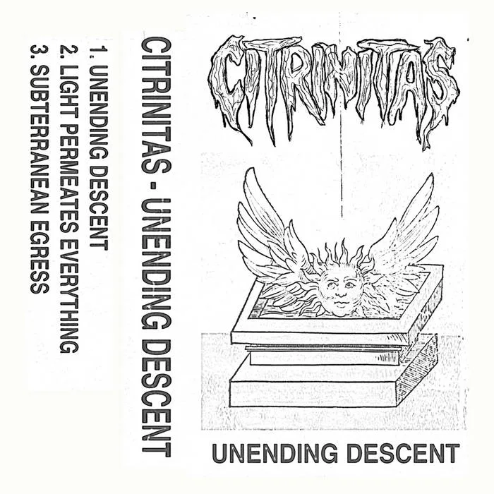 Unending Descent cover