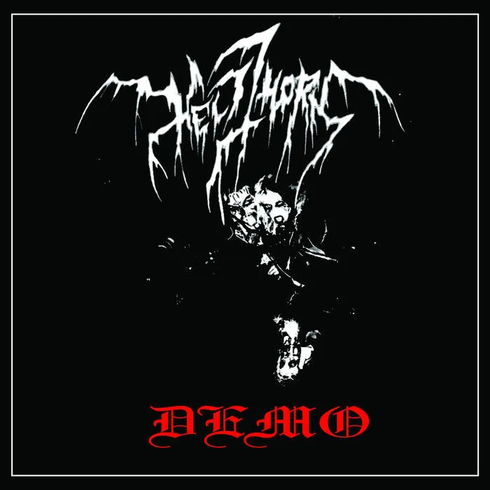 Demo 2025 cover