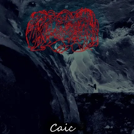 Caic cover