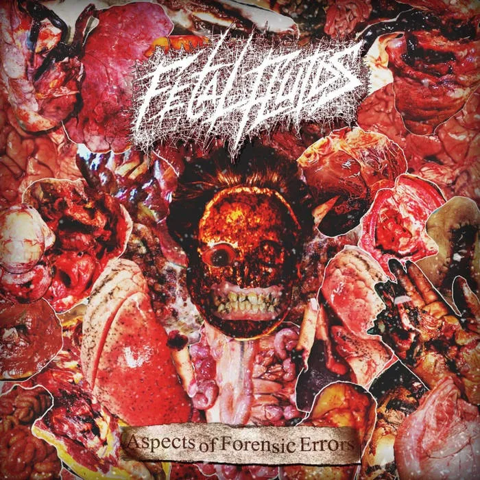Aspects of Forensic Errors cover