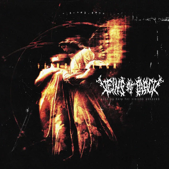 Seeking Help for Visions Unknown cover