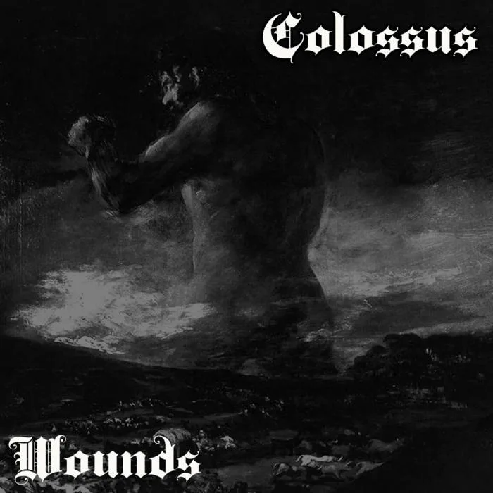 Wounds cover