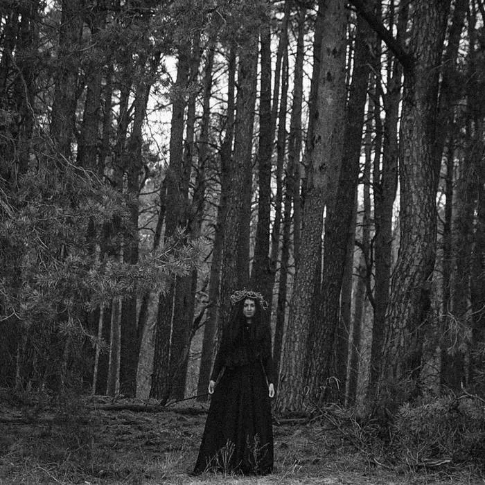 These Woods Are Haunted cover