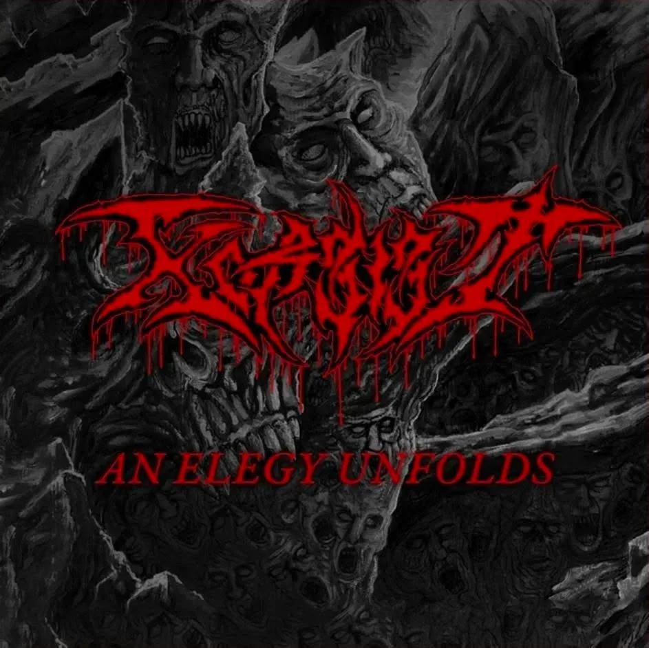 An Elegy Unfolds cover