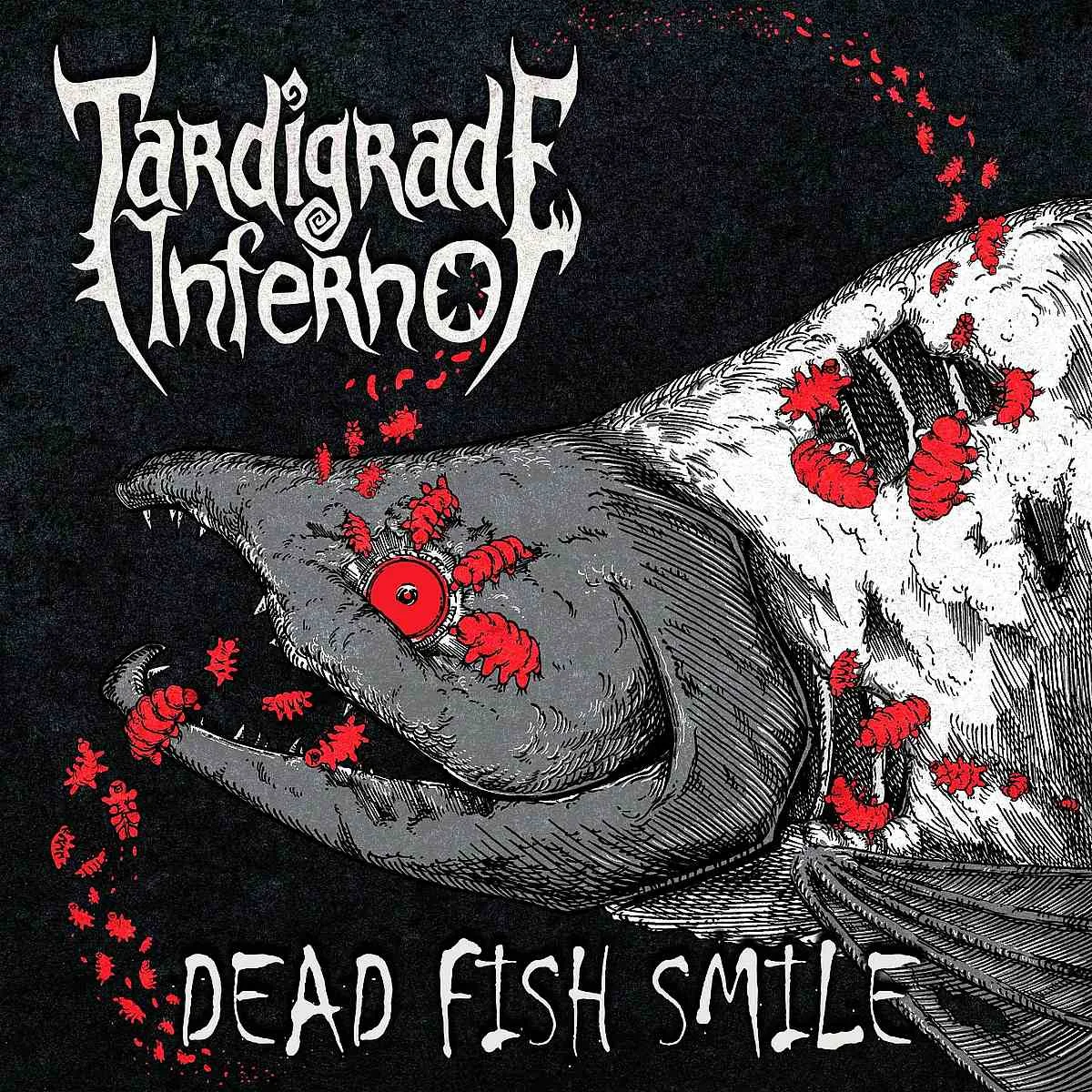 Dead Fish Smile cover