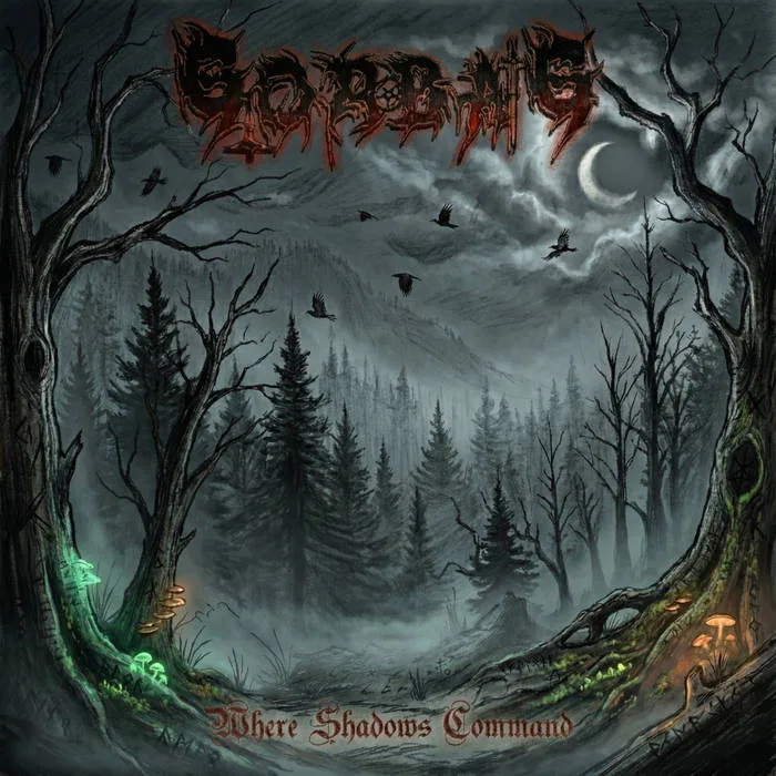 Where Shadows Command cover