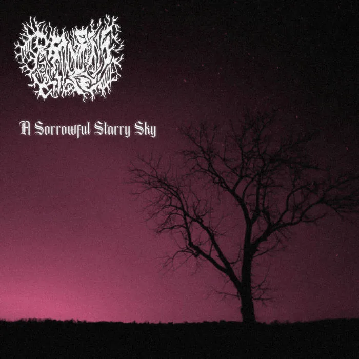 A Sorrowful Starry Sky cover